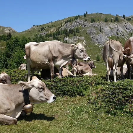 Locanda Landgasthof Staila