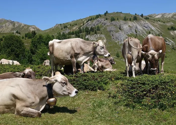 Estalagem Landgasthof Staila